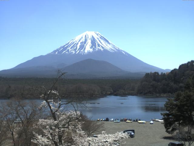 精進湖からの富士山