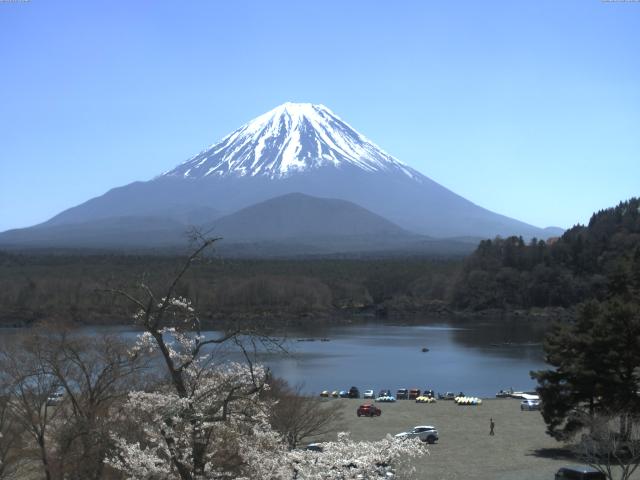 精進湖からの富士山