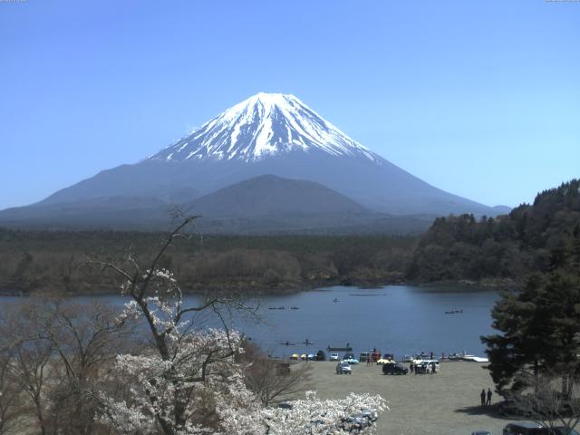 精進湖からの富士山