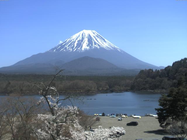 精進湖からの富士山