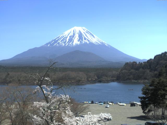 精進湖からの富士山