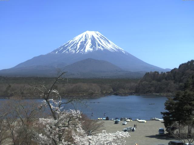 精進湖からの富士山