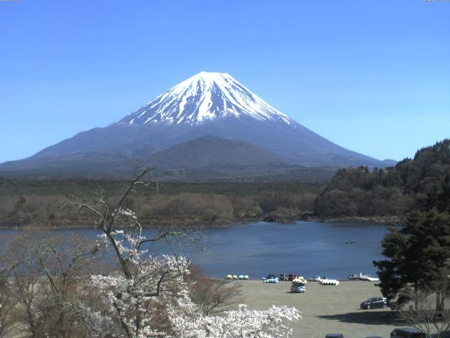 精進湖からの富士山