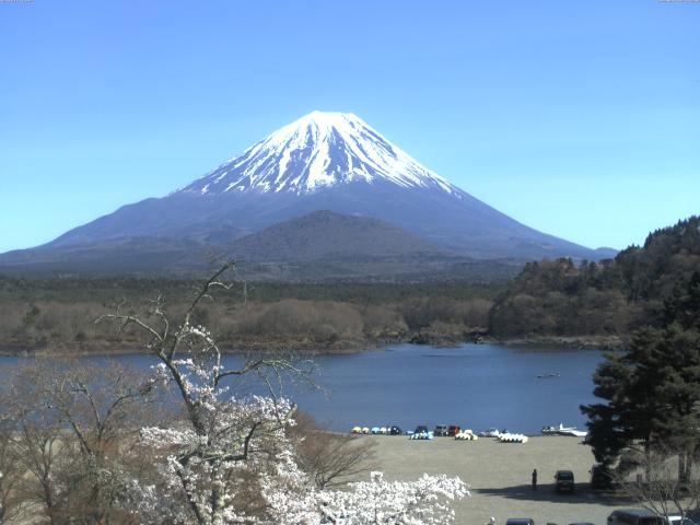 精進湖からの富士山