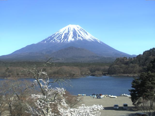 精進湖からの富士山