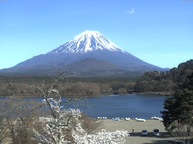 精進湖からの富士山