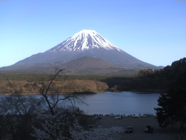精進湖からの富士山