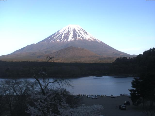 精進湖からの富士山
