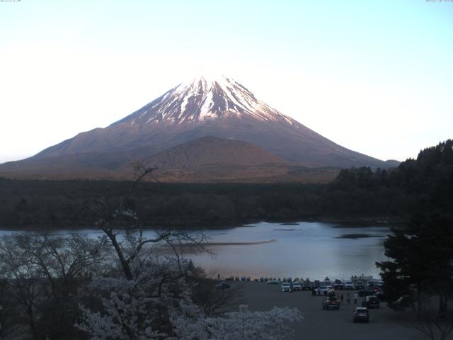 精進湖からの富士山