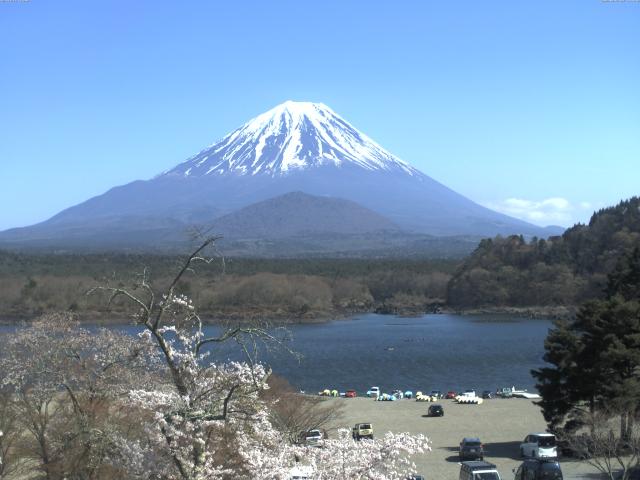 精進湖からの富士山
