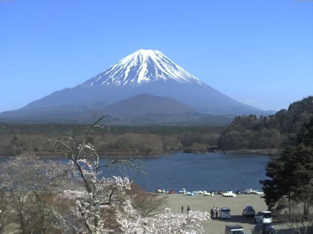 精進湖からの富士山