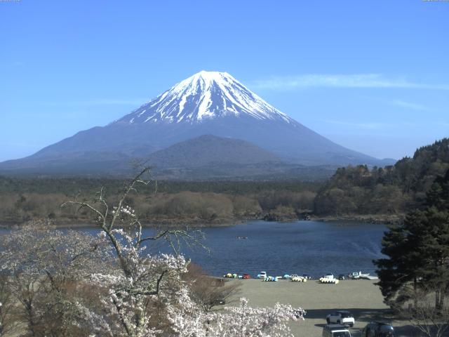 精進湖からの富士山