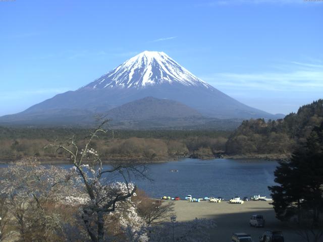 精進湖からの富士山