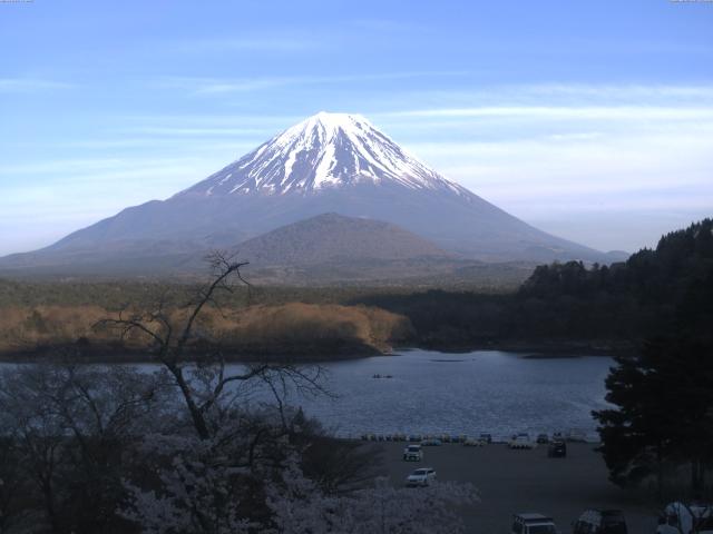 精進湖からの富士山