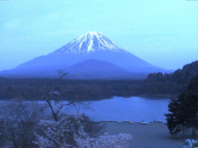 精進湖からの富士山
