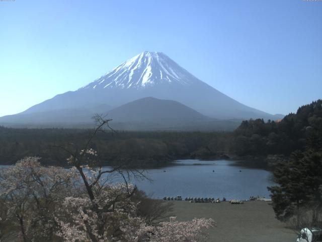 精進湖からの富士山