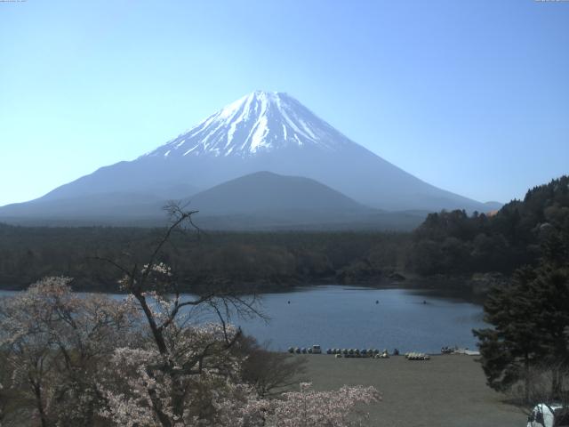 精進湖からの富士山