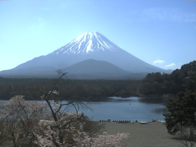 精進湖からの富士山