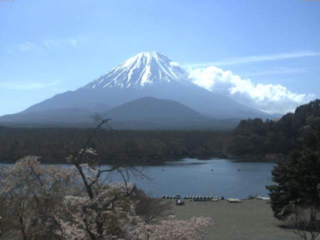 精進湖からの富士山