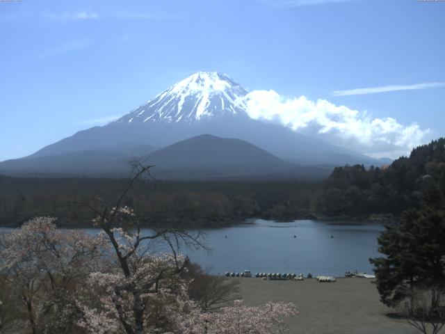 精進湖からの富士山