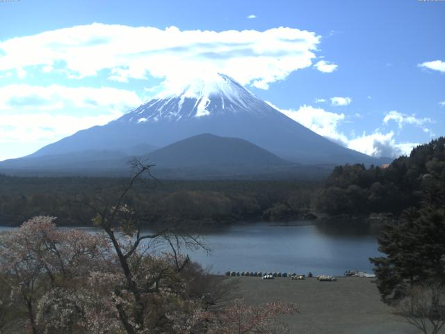精進湖からの富士山