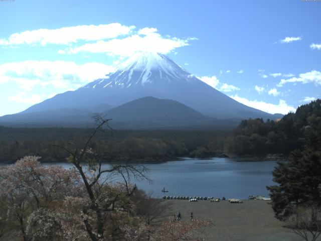 精進湖からの富士山