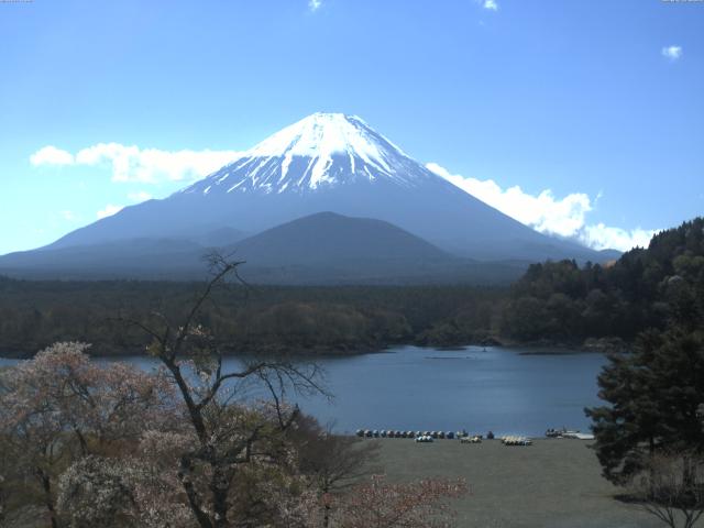 精進湖からの富士山