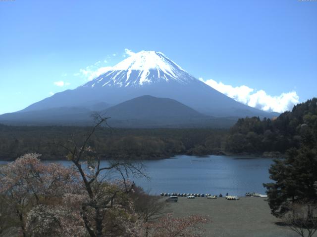 精進湖からの富士山