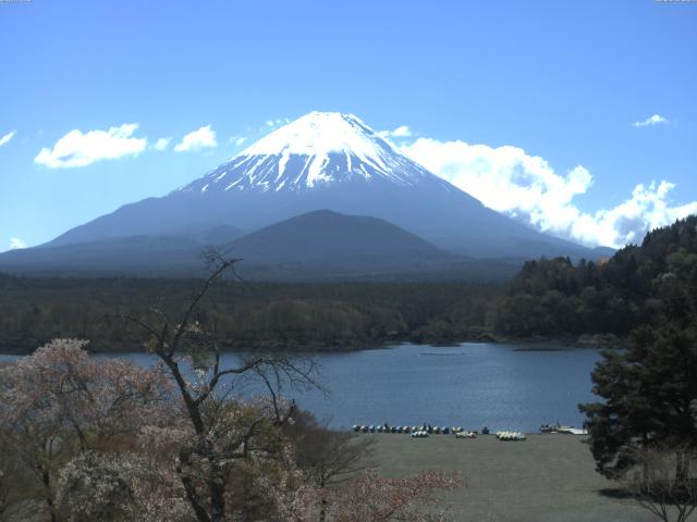 精進湖からの富士山