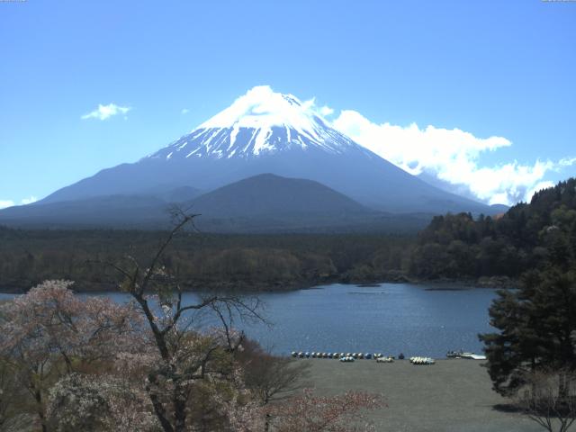 精進湖からの富士山
