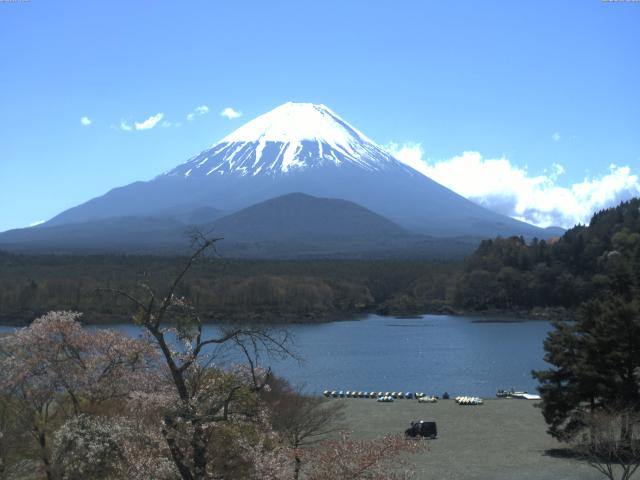 精進湖からの富士山