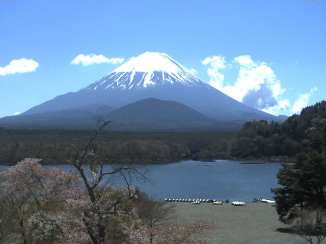 精進湖からの富士山