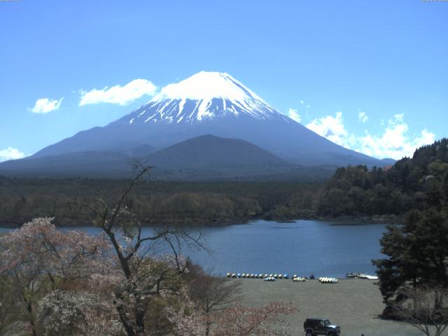精進湖からの富士山
