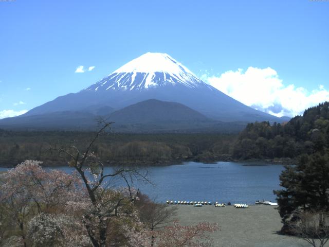 精進湖からの富士山