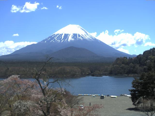 精進湖からの富士山