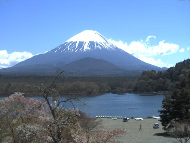 精進湖からの富士山
