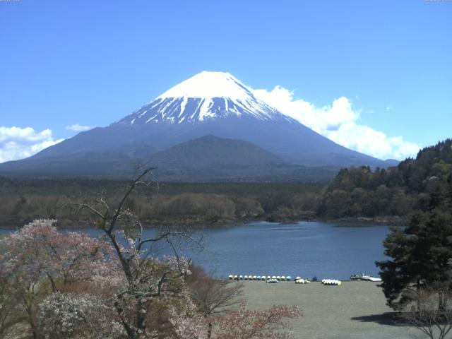 精進湖からの富士山