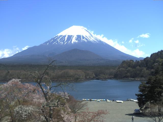 精進湖からの富士山