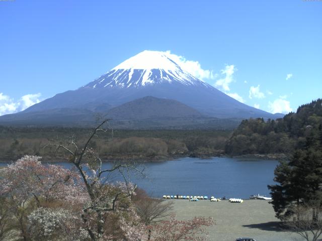 精進湖からの富士山