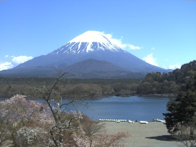 精進湖からの富士山