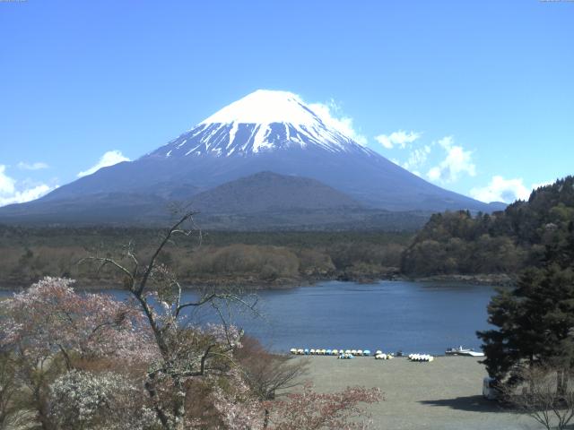 精進湖からの富士山