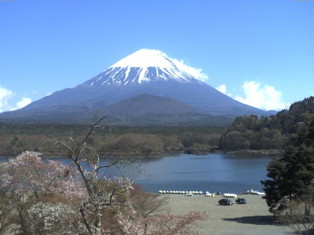 精進湖からの富士山