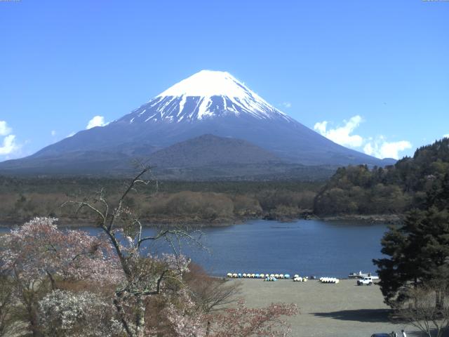 精進湖からの富士山