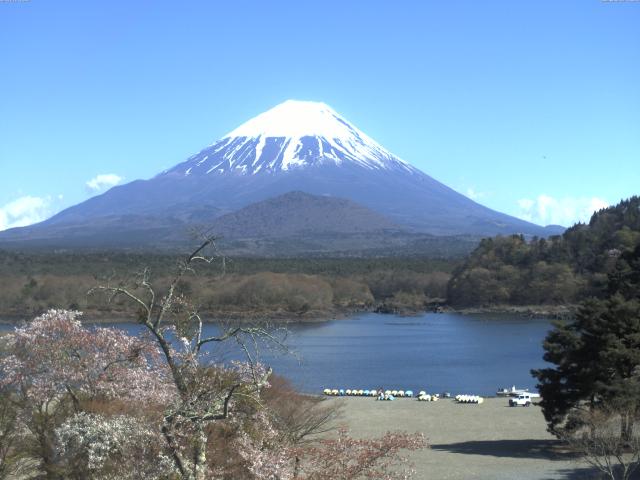 精進湖からの富士山