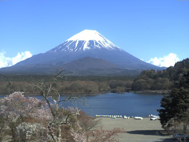 精進湖からの富士山
