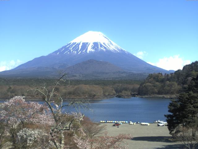 精進湖からの富士山