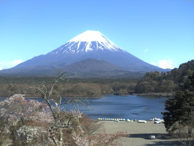精進湖からの富士山