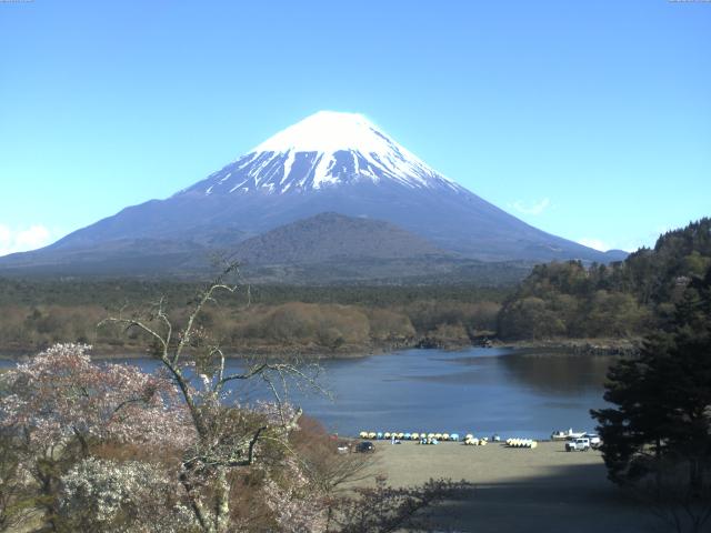 精進湖からの富士山