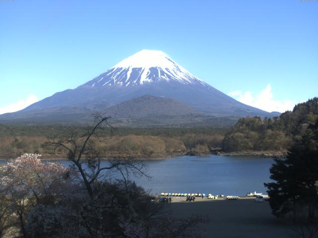 精進湖からの富士山