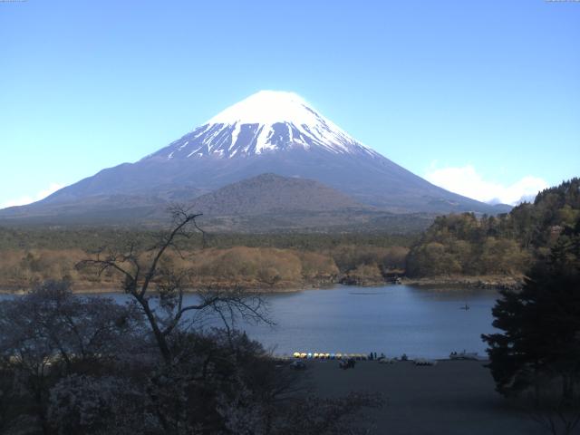精進湖からの富士山